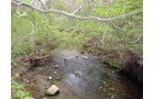 Property photo 10 - 80 Acres Offered in 7 Tracts